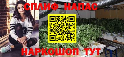 a pvp Краснознаменск