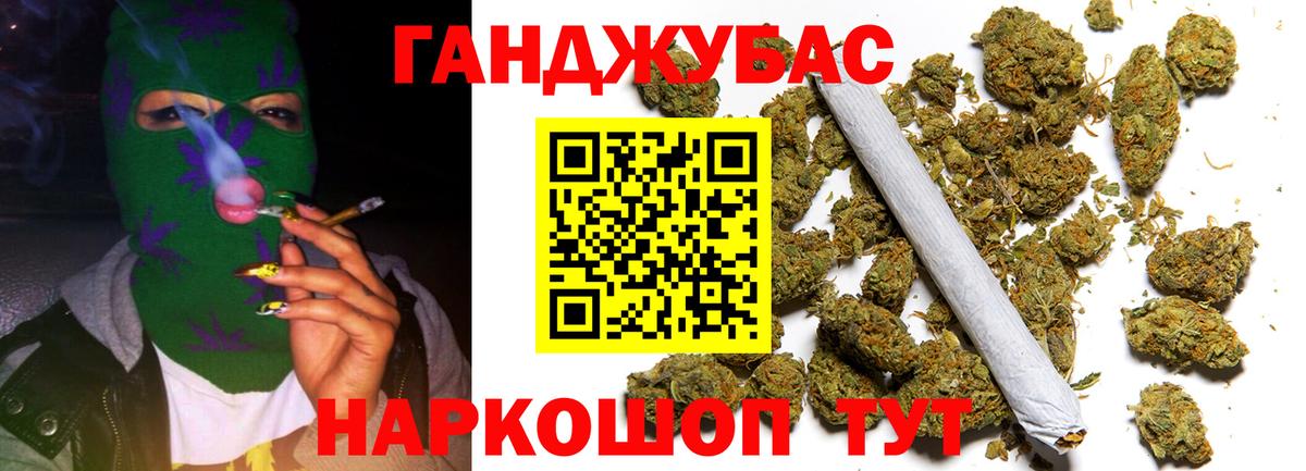 Бошки Шишки план Кинель